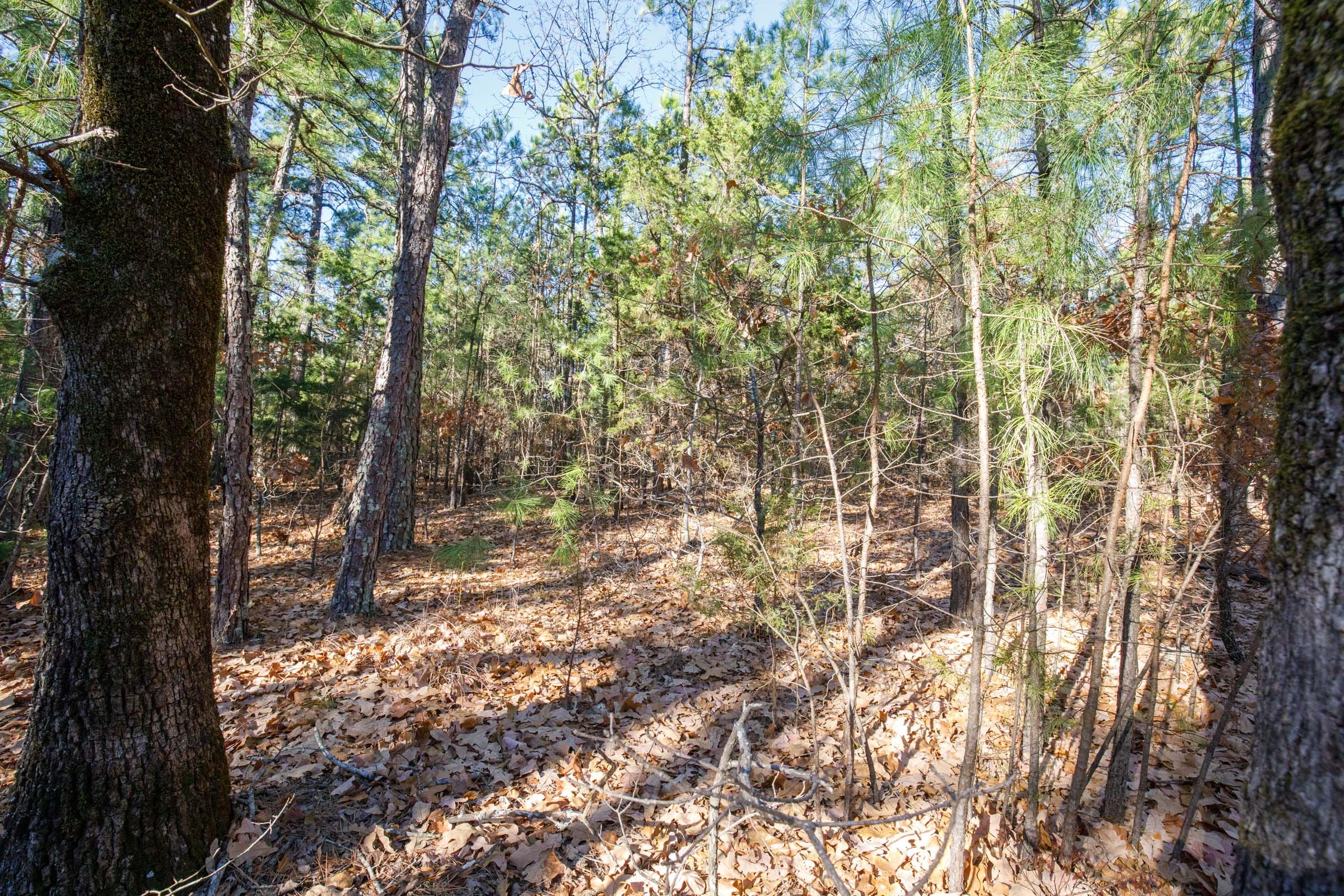 Stone Bridge Phase II Tract 106 photo 2