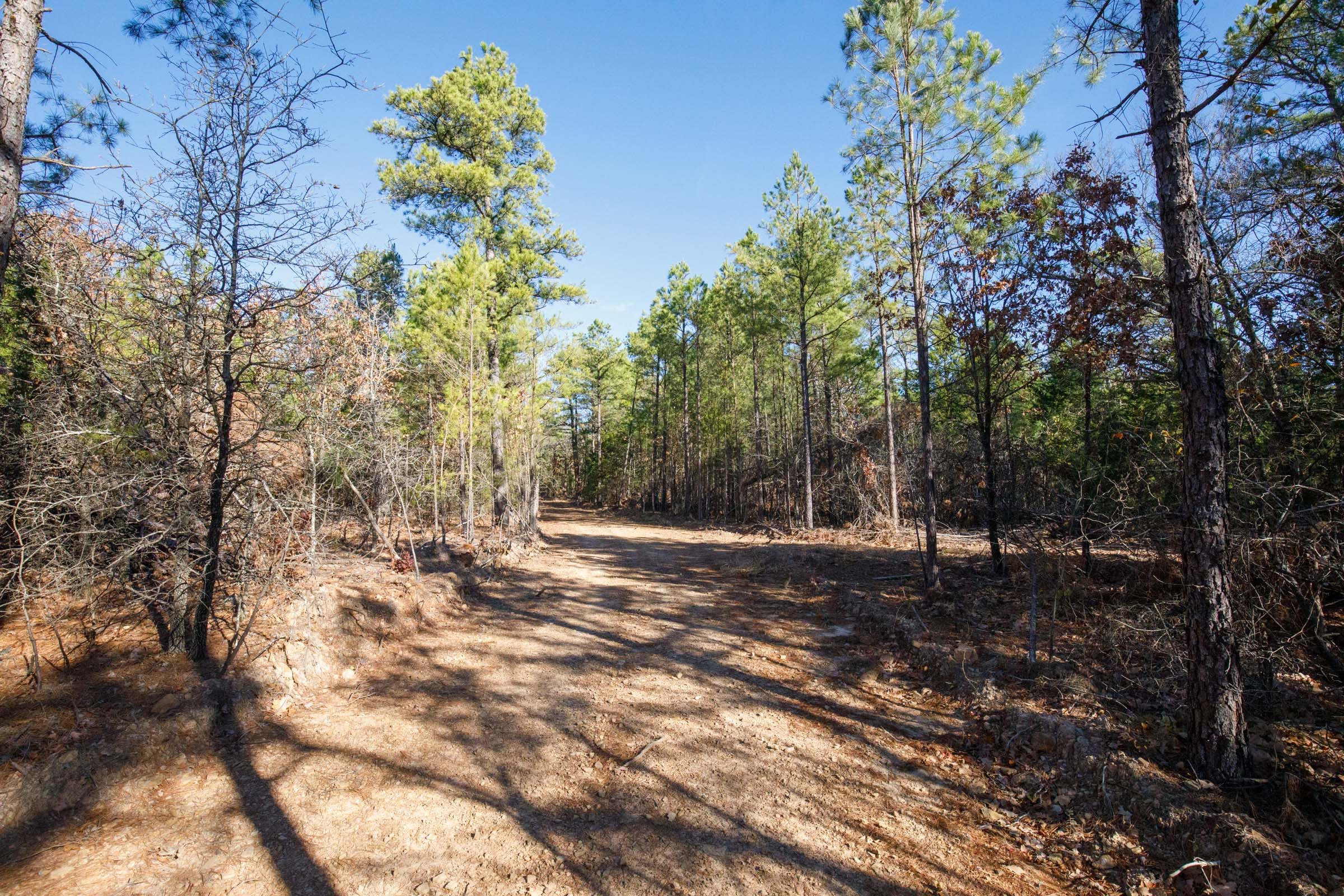 Stone Bridge Phase II Tract 106 photo 5