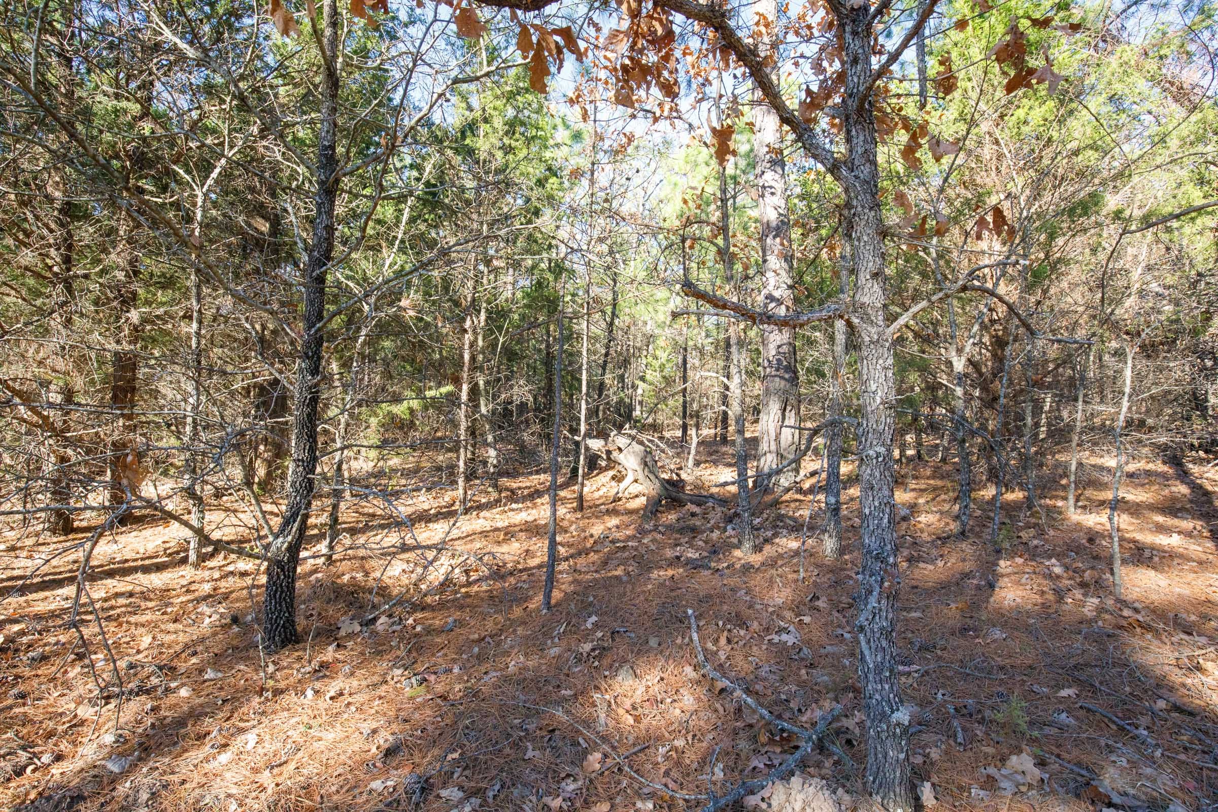 Stone Bridge Phase II Tract 106 photo 9