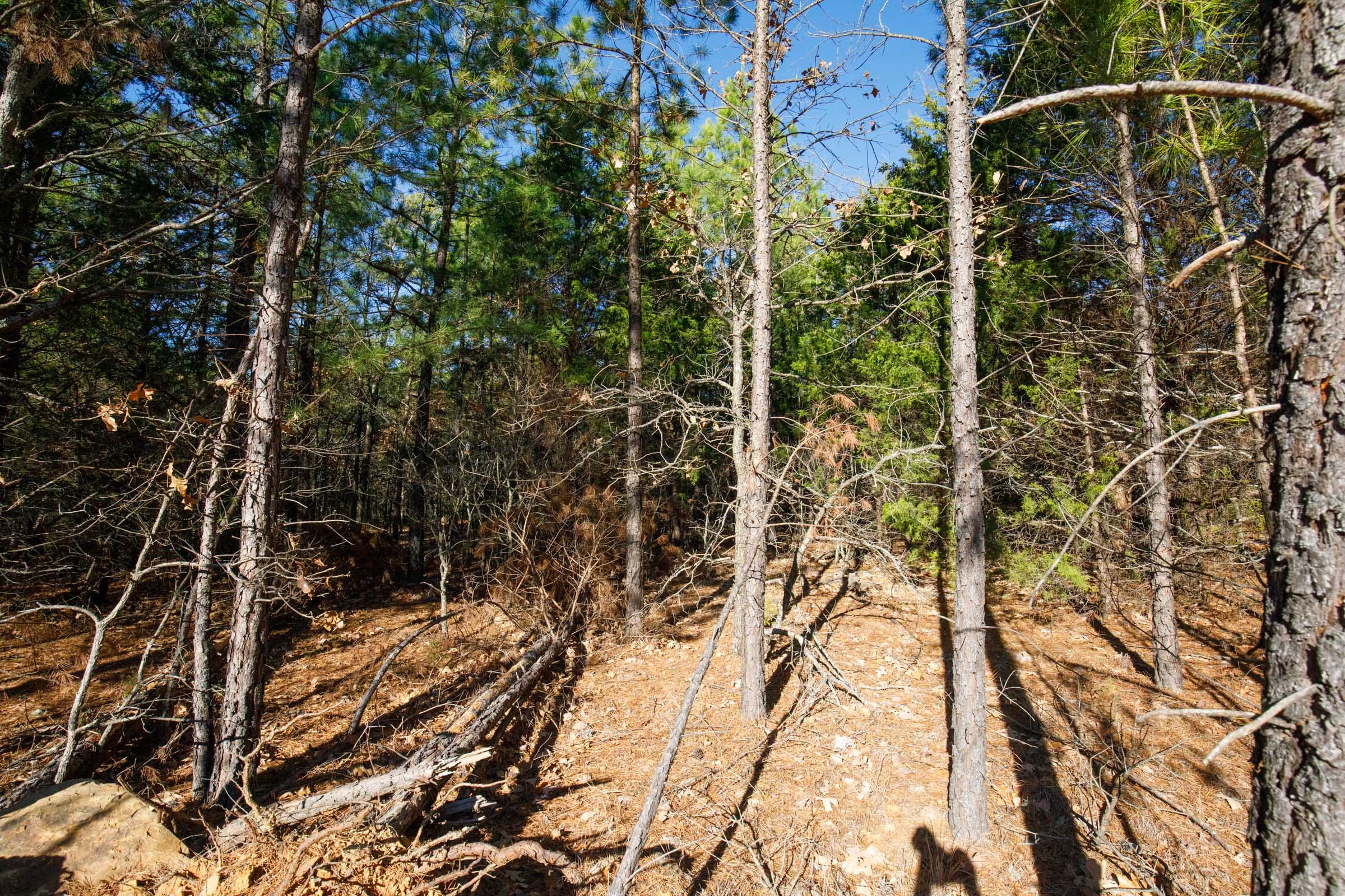 Stone Bridge Phase II Tract 106 photo 10