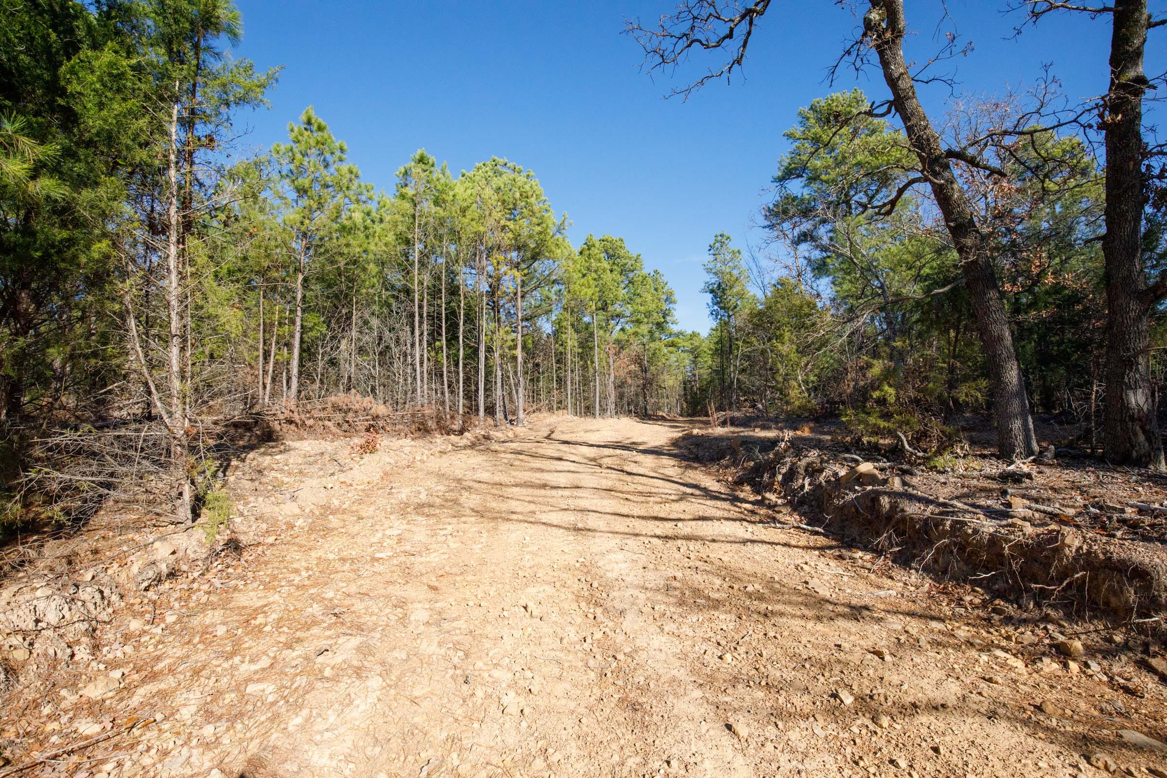 Stone Bridge Phase II Tract 106 photo 8