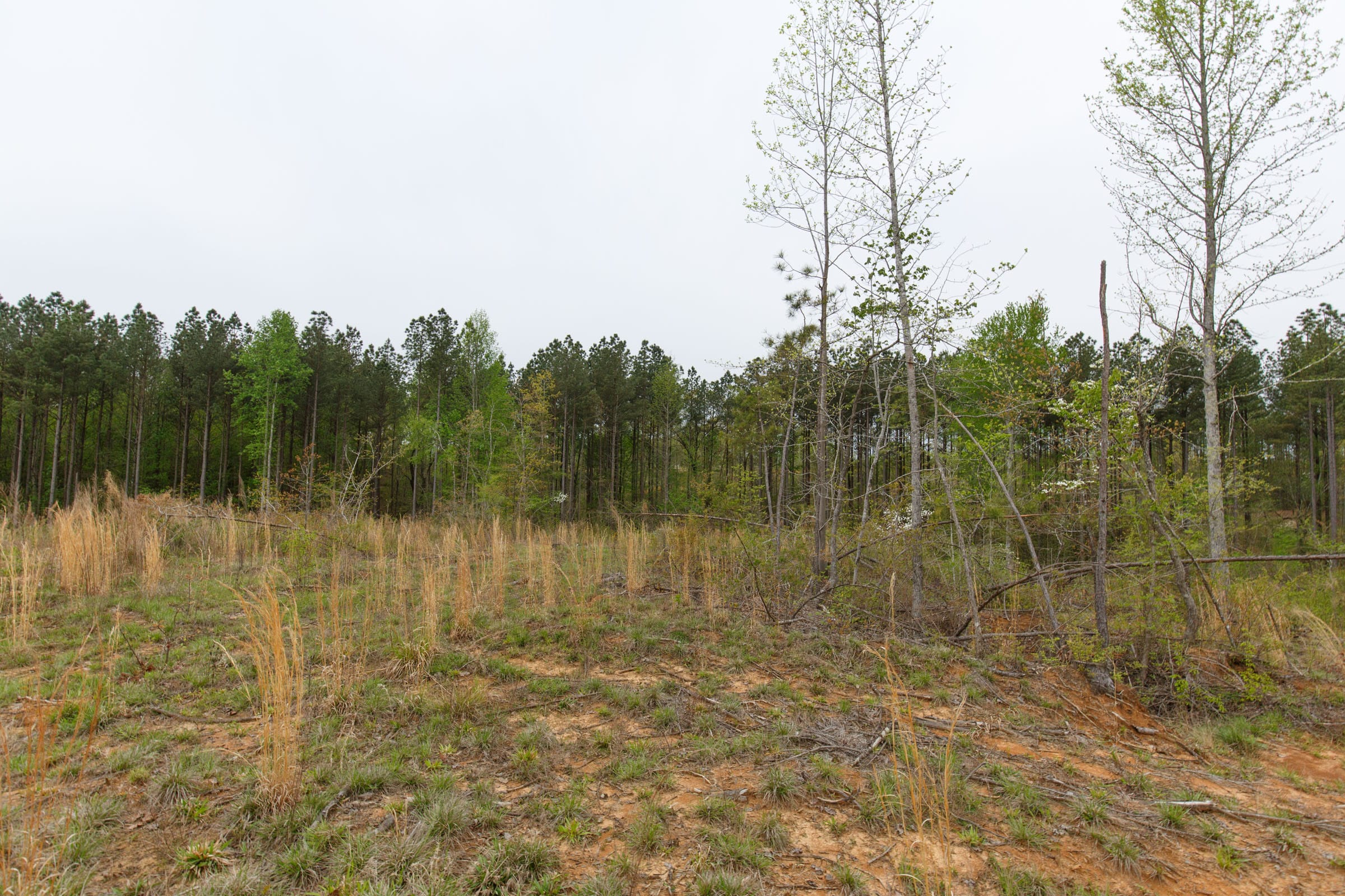 Twin Rivers Tract 31 photo 4