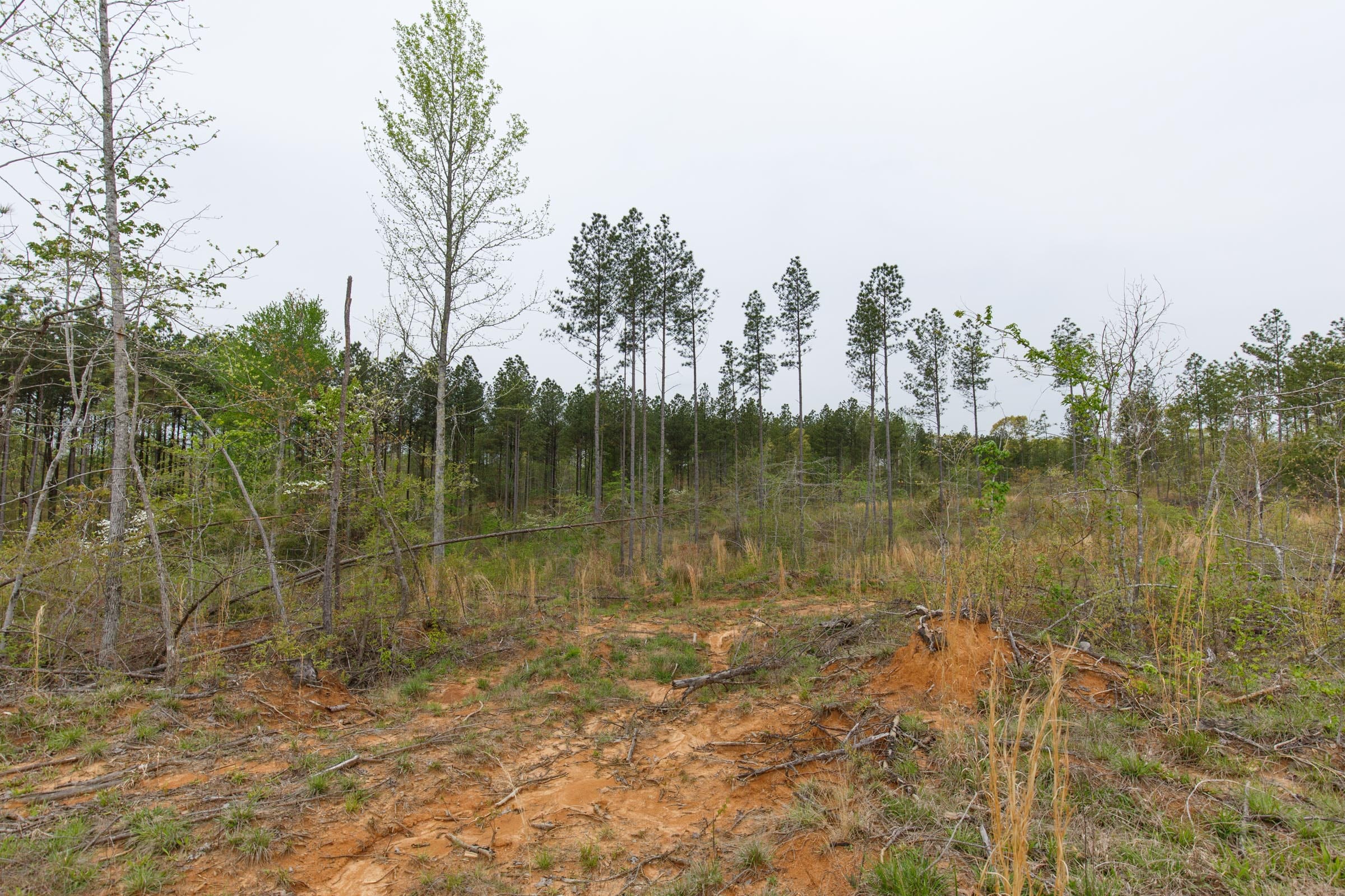 Twin Rivers Tract 31 photo 5