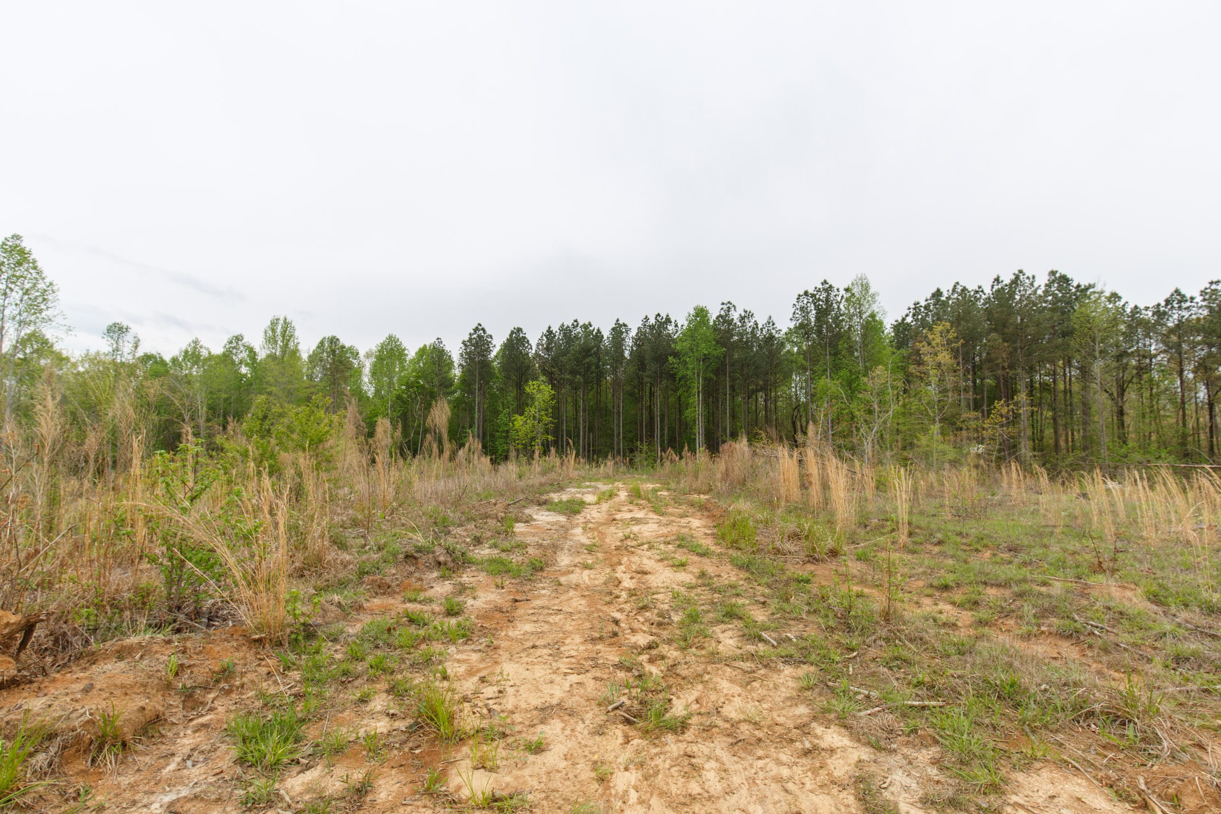 Twin Rivers Tract 31 photo 9