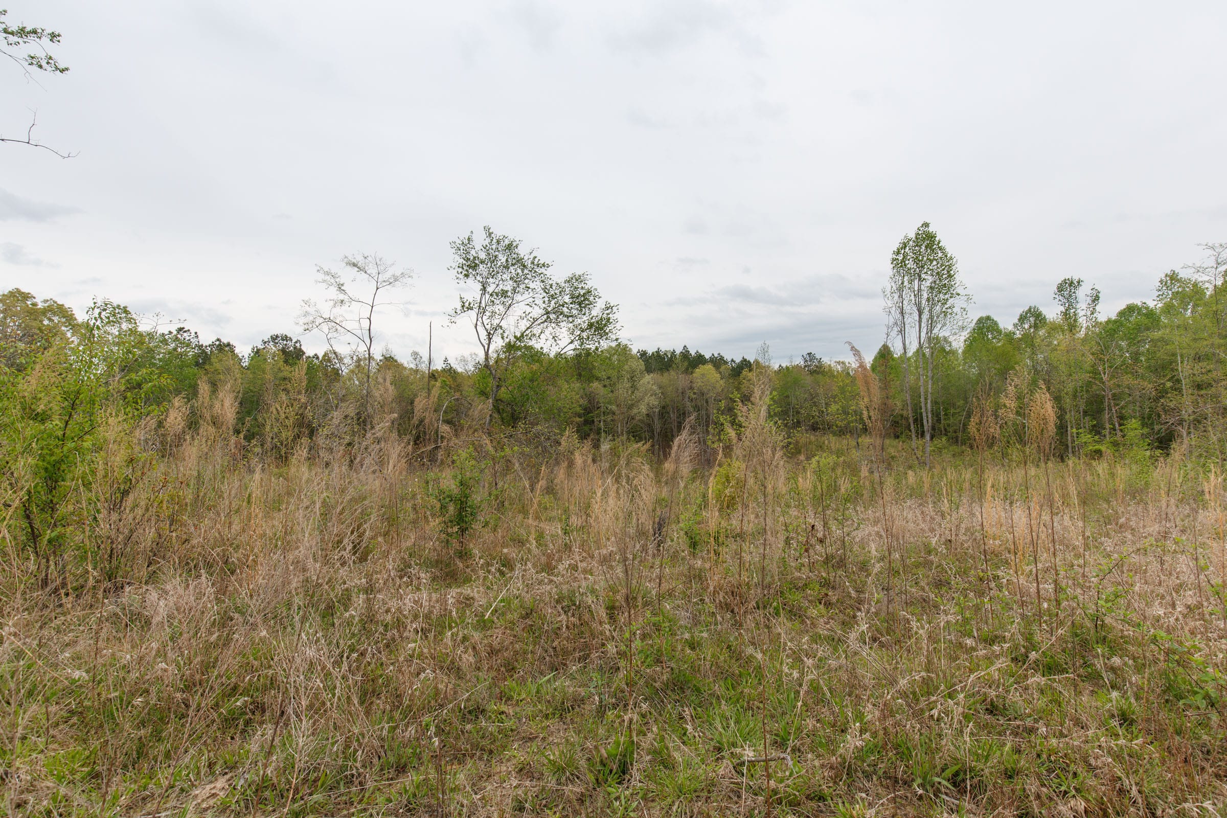 Twin Rivers Tract 31 photo 7