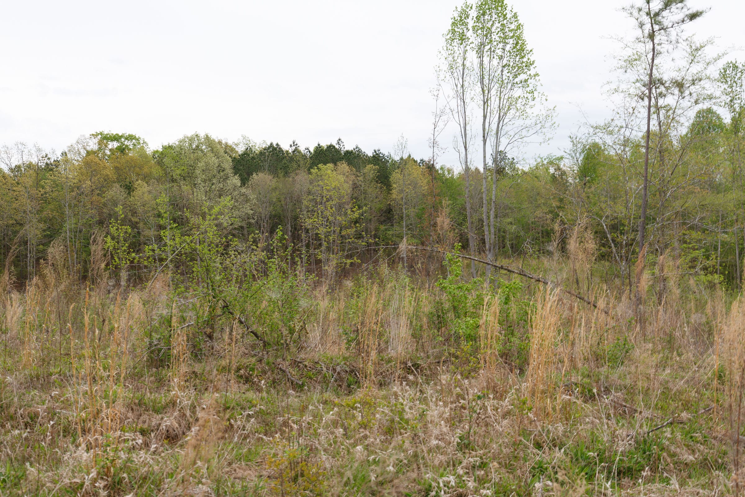 Twin Rivers Tract 31 photo 8