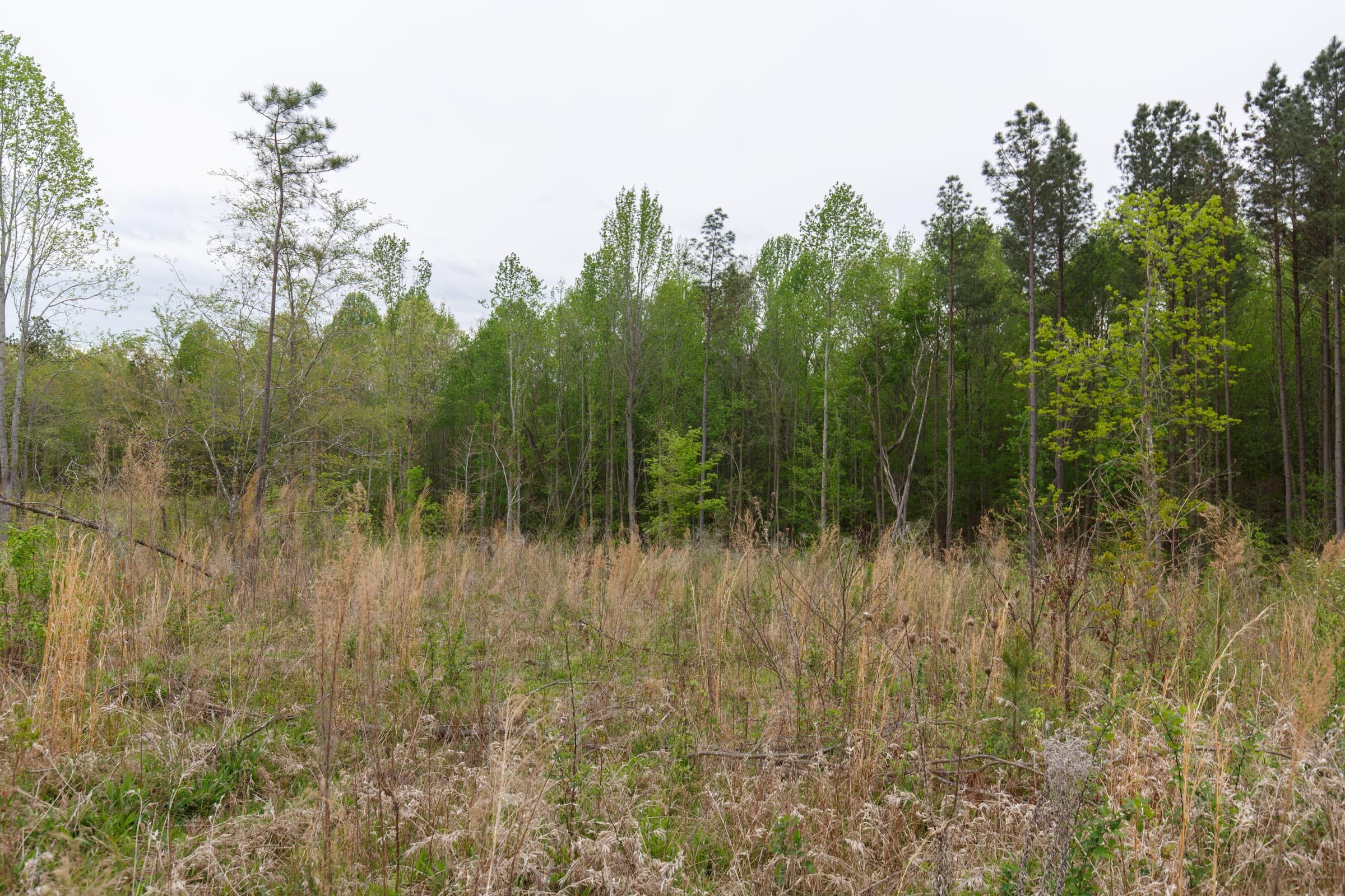 Twin Rivers Tract 31 photo 10