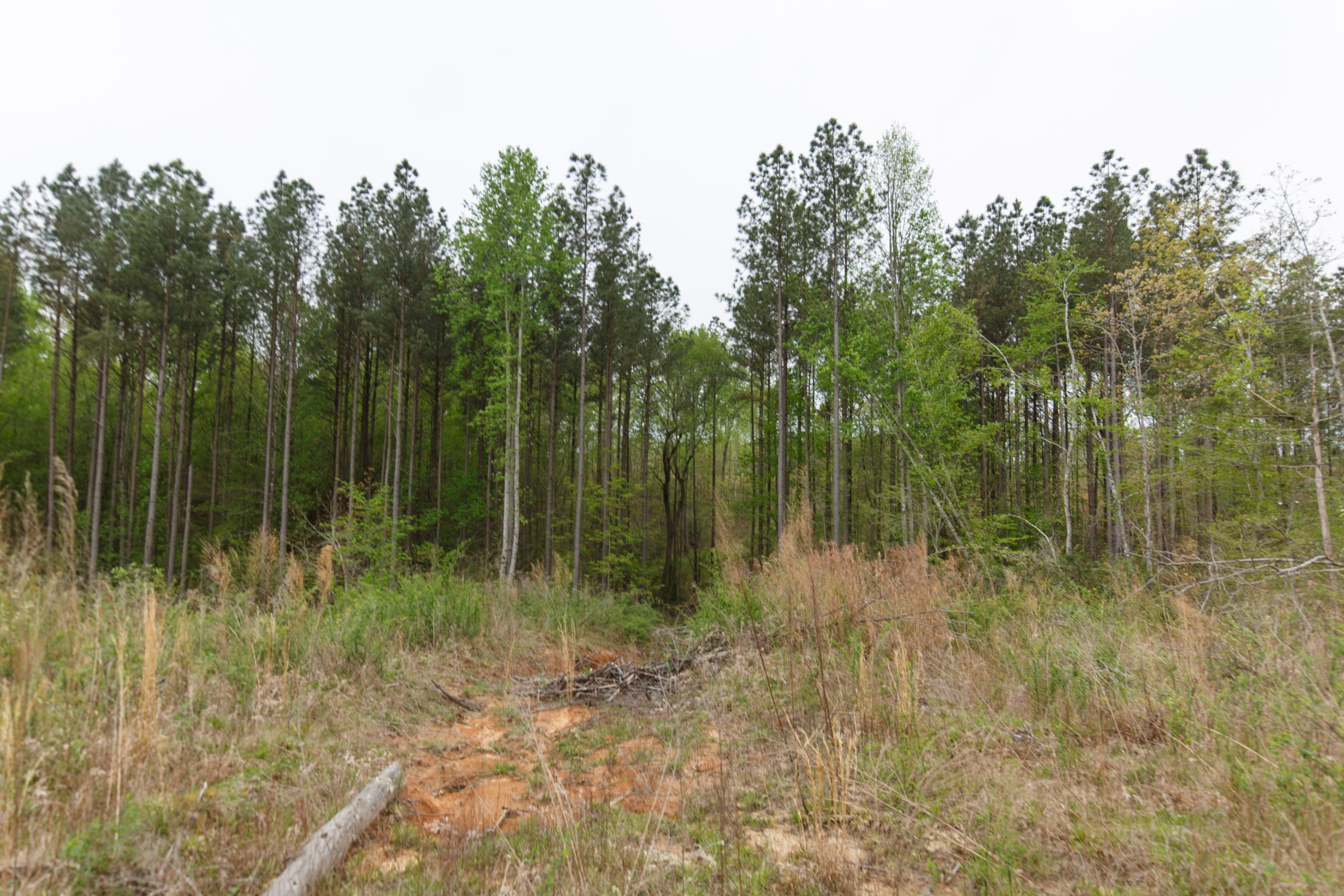Twin Rivers Tract 31 photo 11