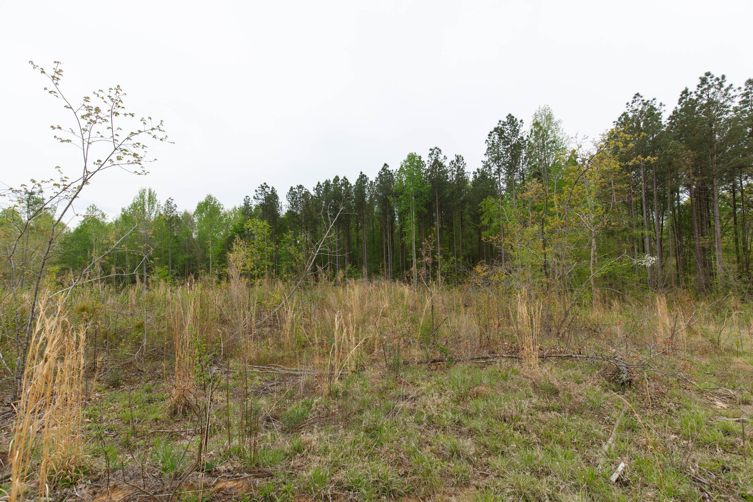 Twin Rivers Tract 31 photo 14