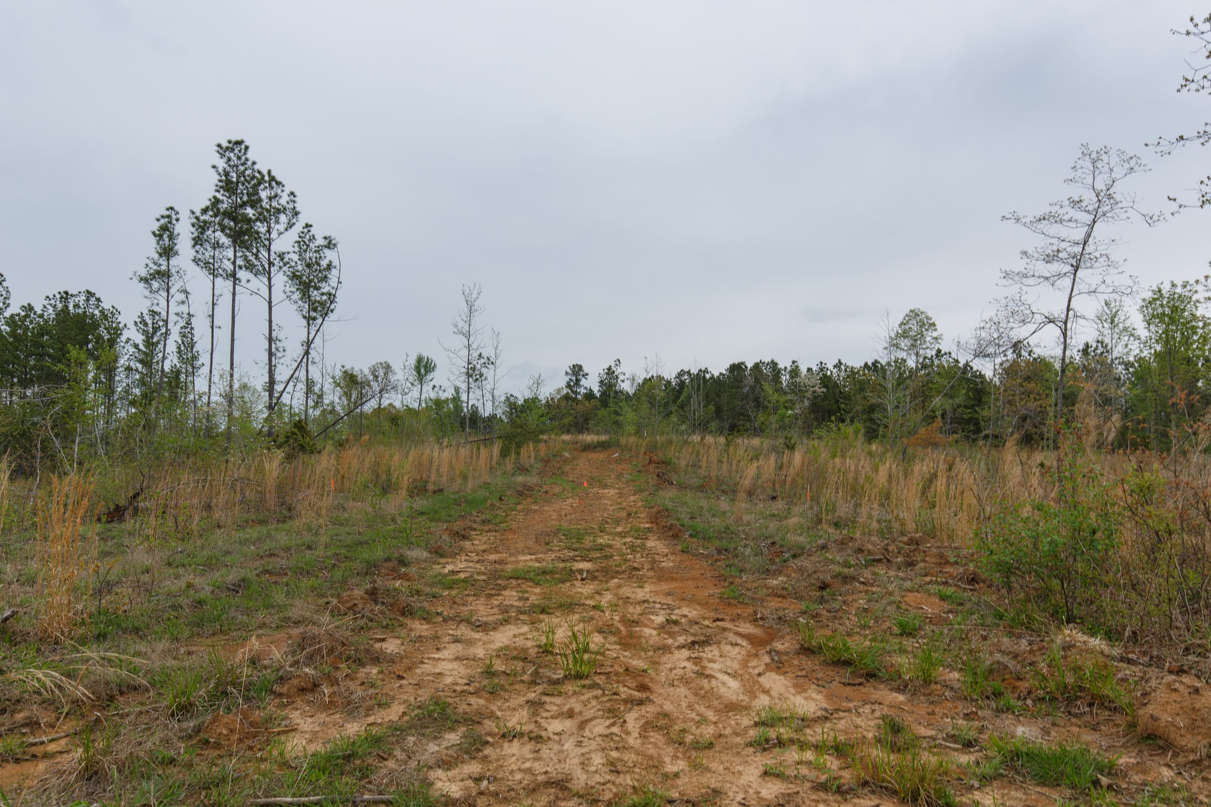 Twin Rivers Tract 31 photo 2
