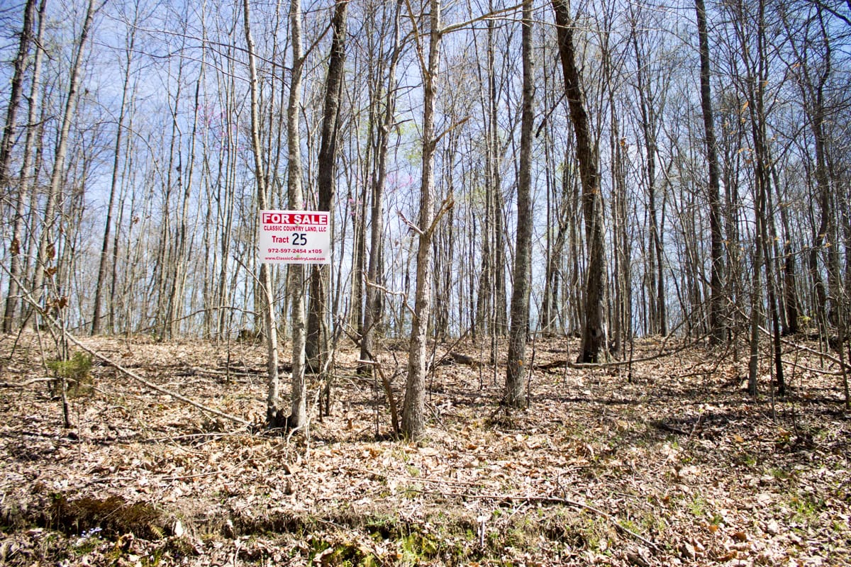 Chestnut Oak Ridge Tract 25 photo 1
