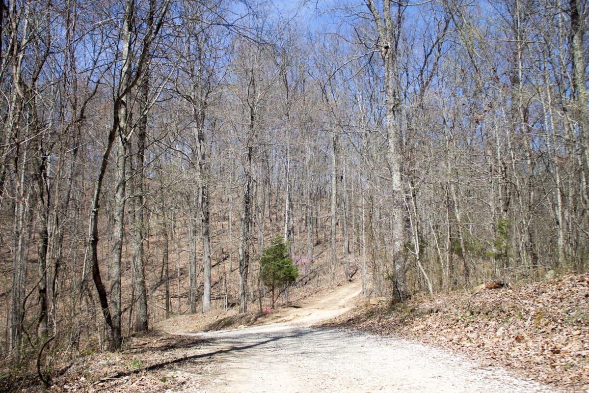 Chestnut Oak Ridge Tract 25 photo 2