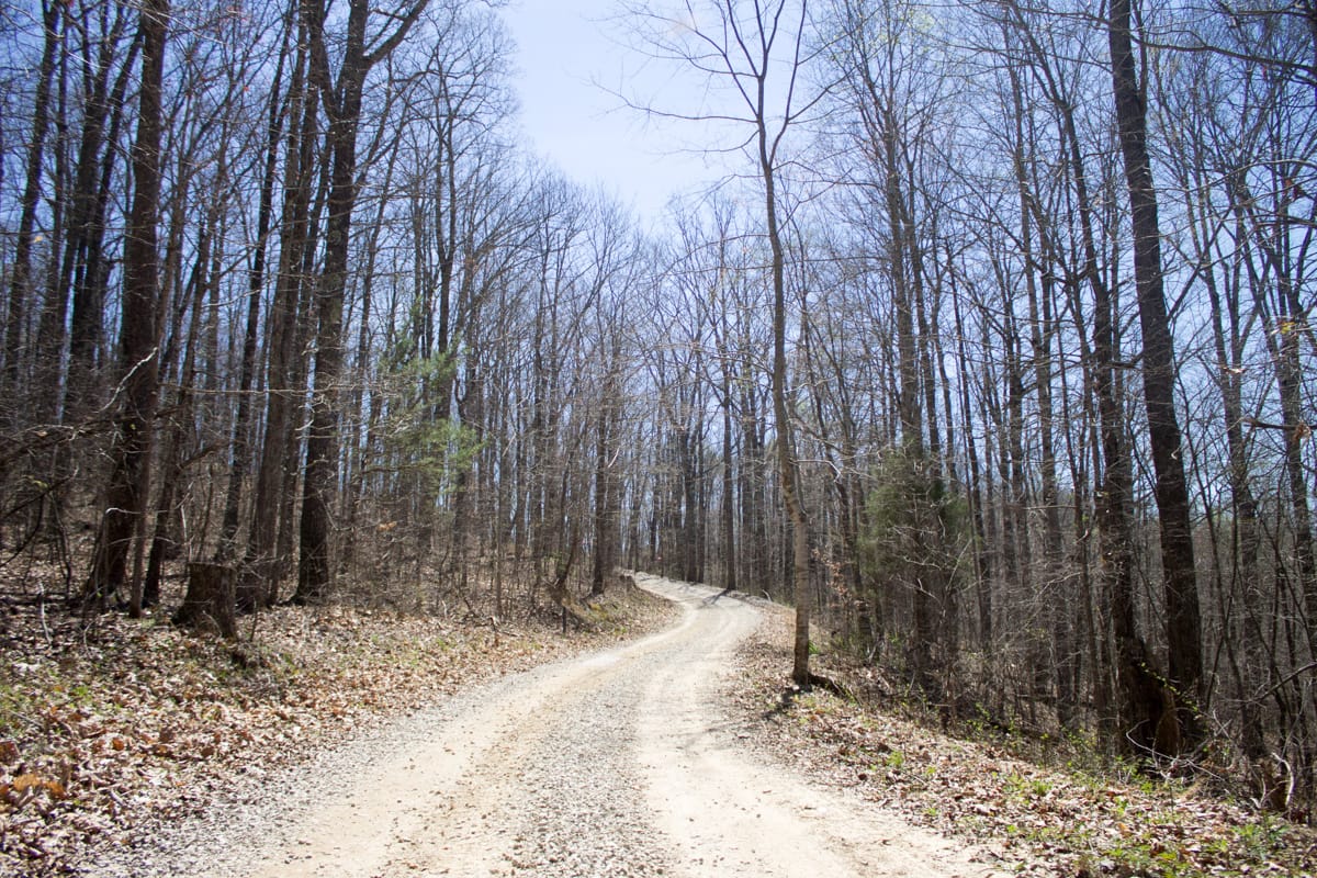 Chestnut Oak Ridge Tract 25 photo 3