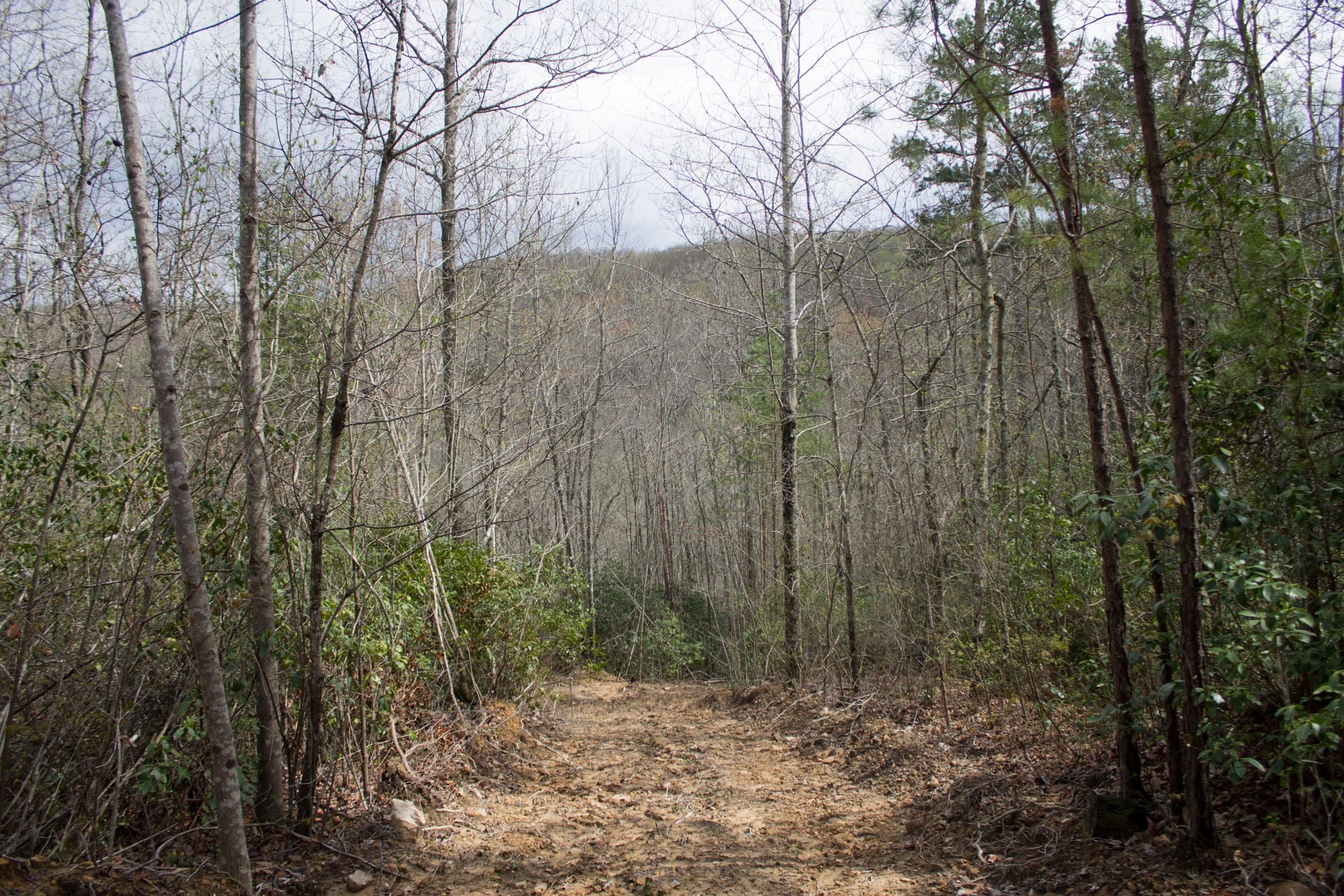 Hidden Hills Tract 25 photo 2