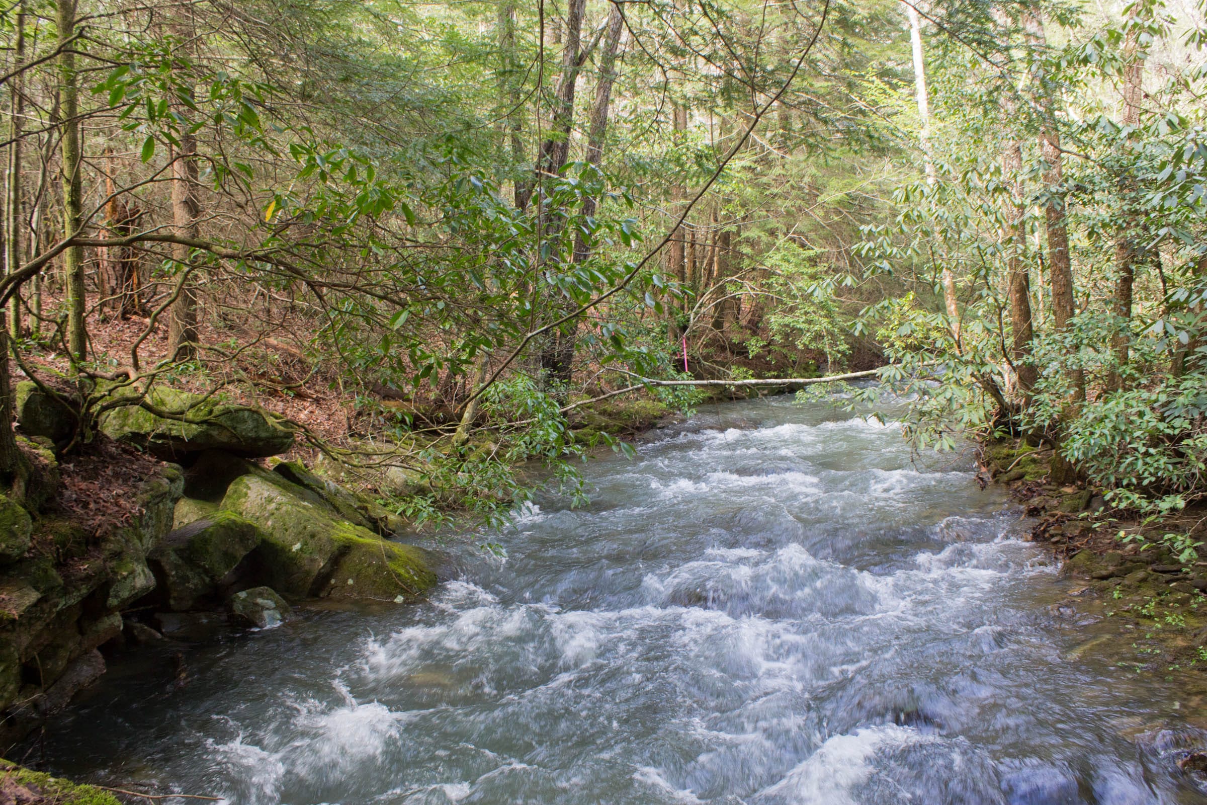 Hidden Hills Tract 25 photo 3