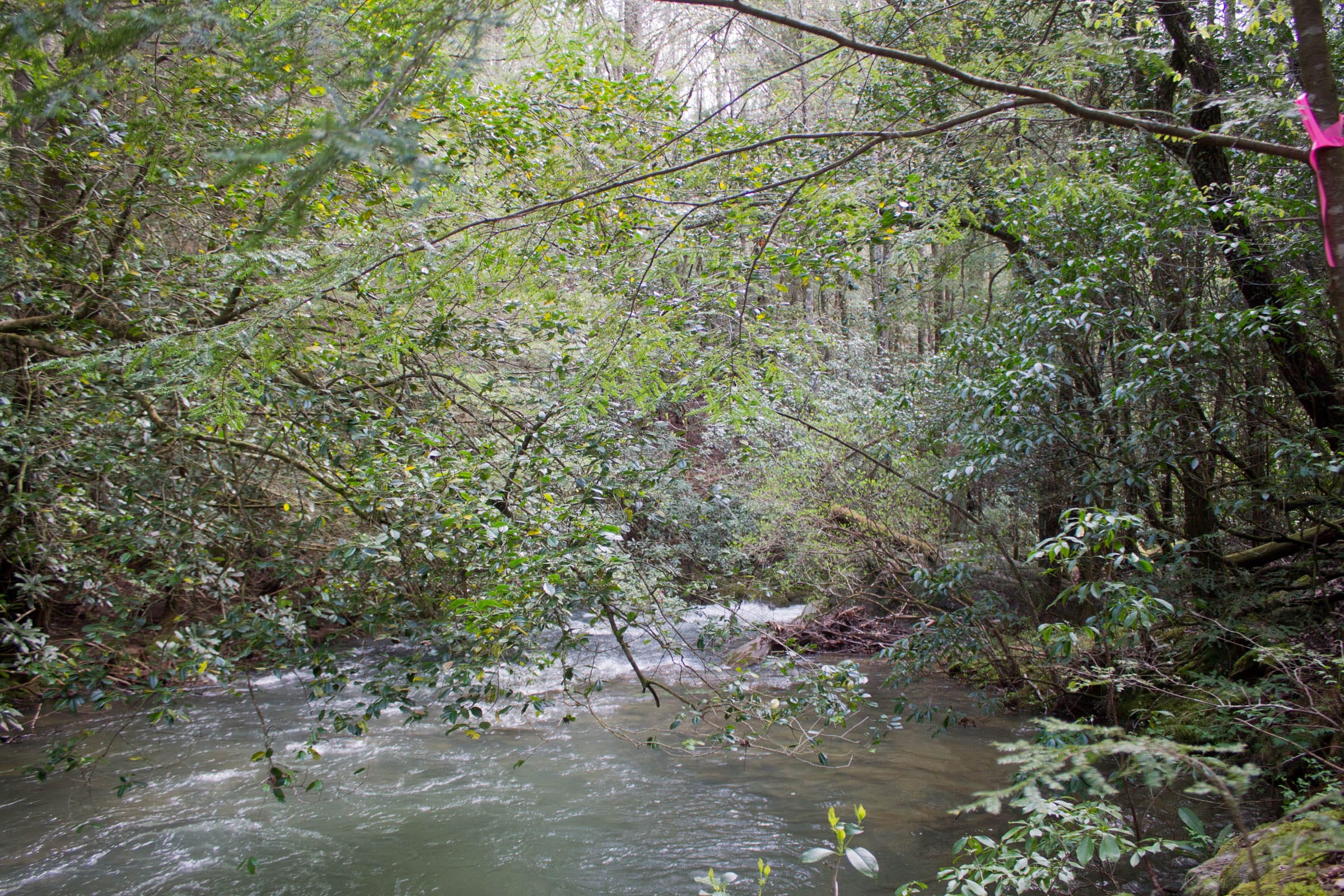 Hidden Hills Tract 25 photo 6