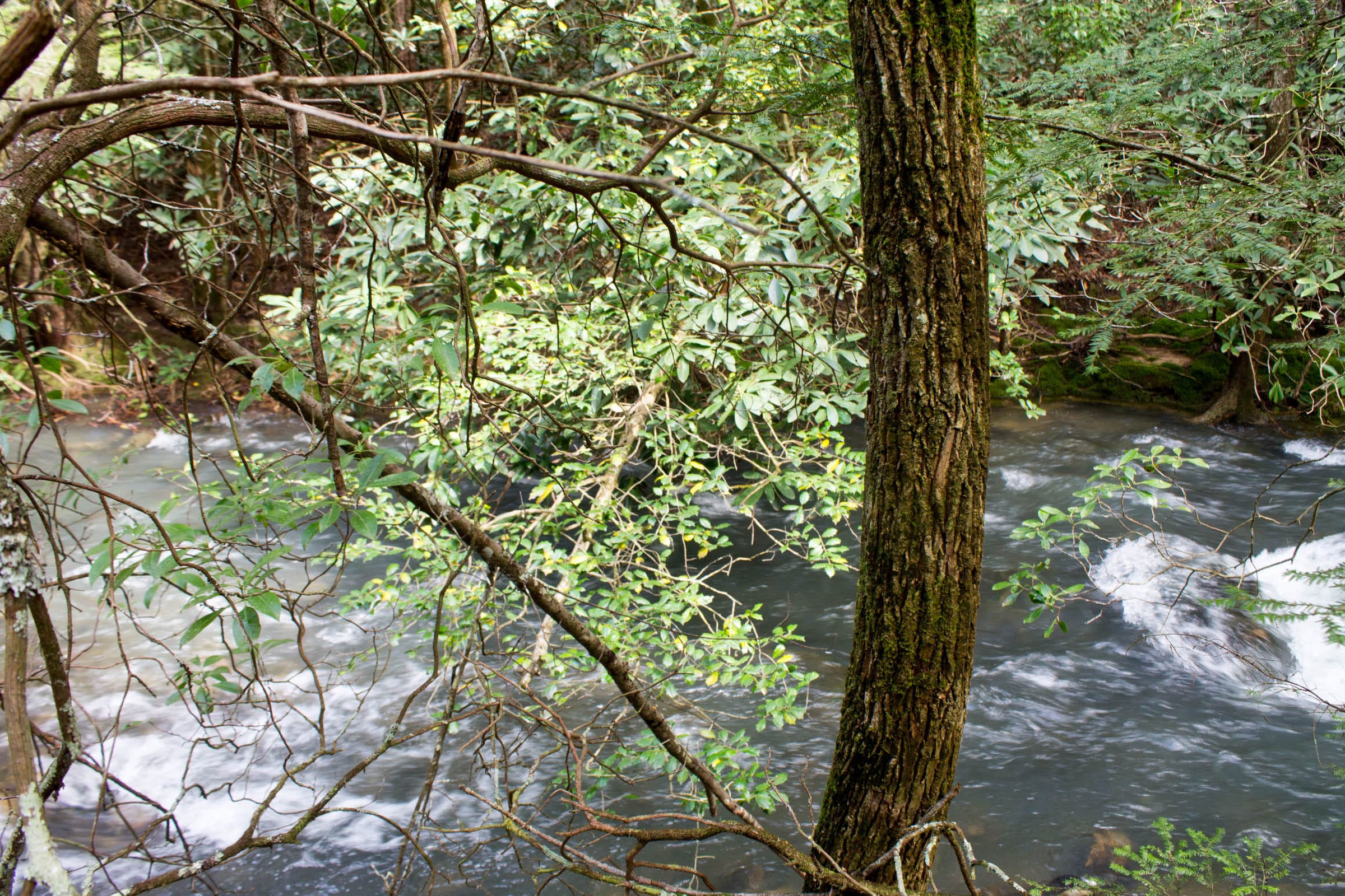 Hidden Hills Tract 25 photo 12