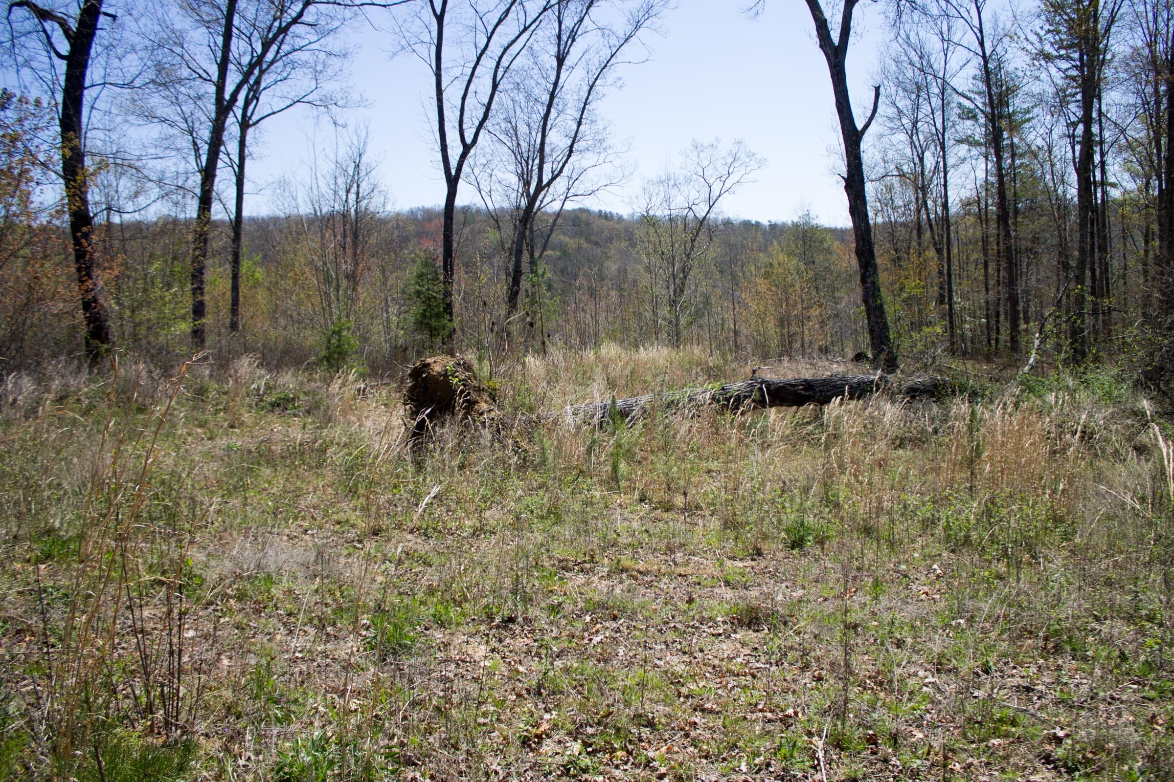Hidden Hills Tract 25 photo 18