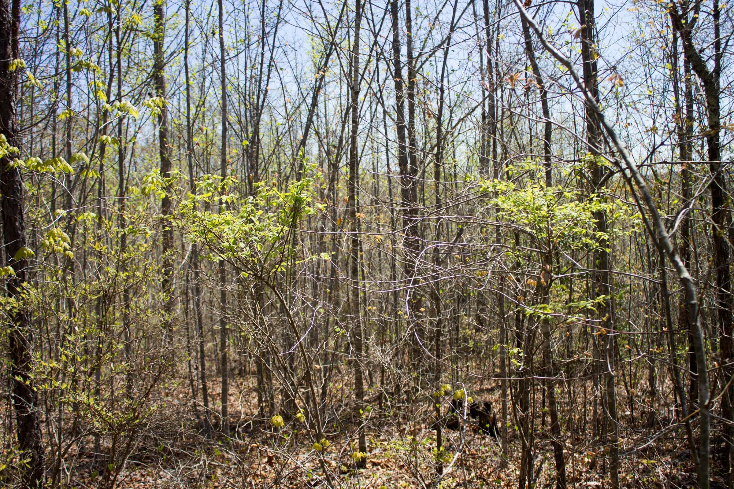 Hidden Hills Tract 25 photo 19