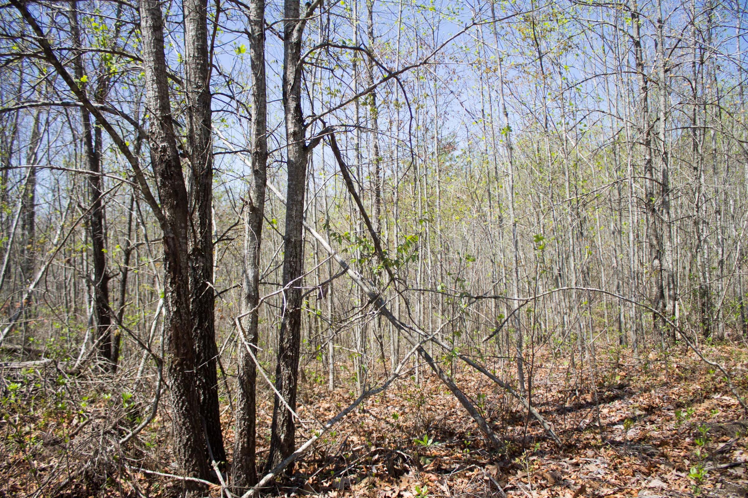 Hidden Hills Tract 25 photo 20