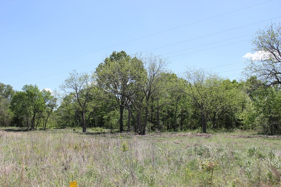 Saddlebrook Ranch Tract 42 photo 1