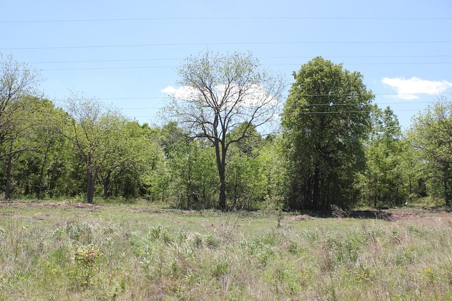 Saddlebrook Ranch Tract 42 photo 2
