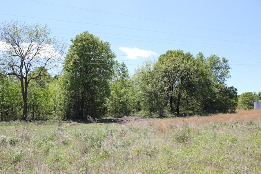 Saddlebrook Ranch Tract 42 photo 3