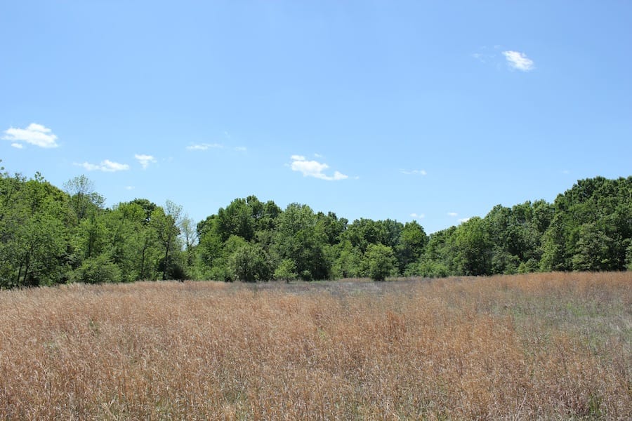 Saddlebrook Ranch Tract 42 photo 7