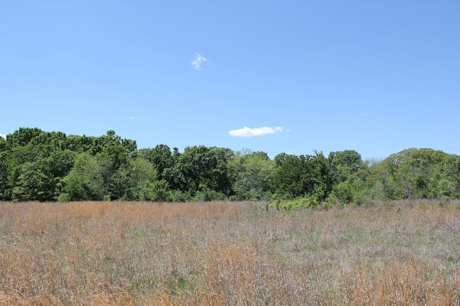 Saddlebrook Ranch Tract 42 photo 8