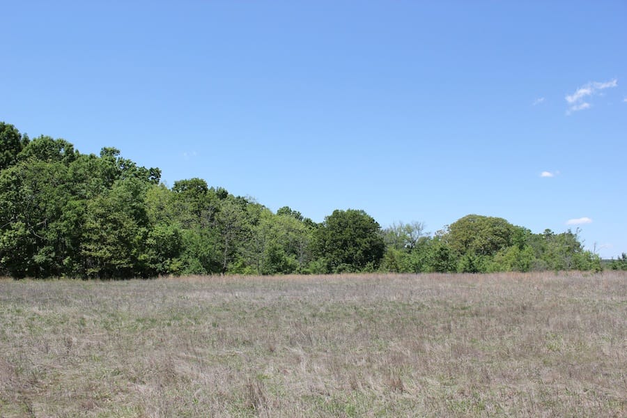 Saddlebrook Ranch Tract 42 photo 9