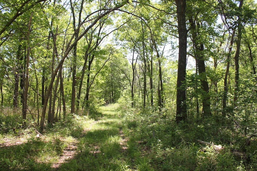 Saddlebrook Ranch Tract 42 photo 10