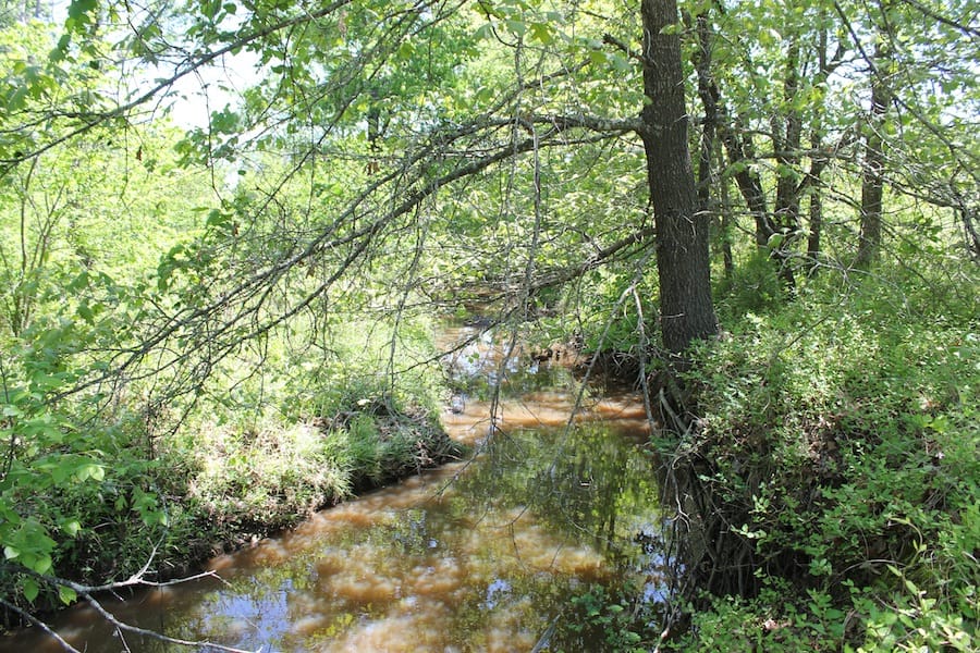 Saddlebrook Ranch Tract 42 photo 11