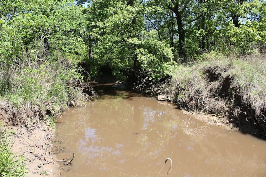 Saddlebrook Ranch Tract 42 photo 12