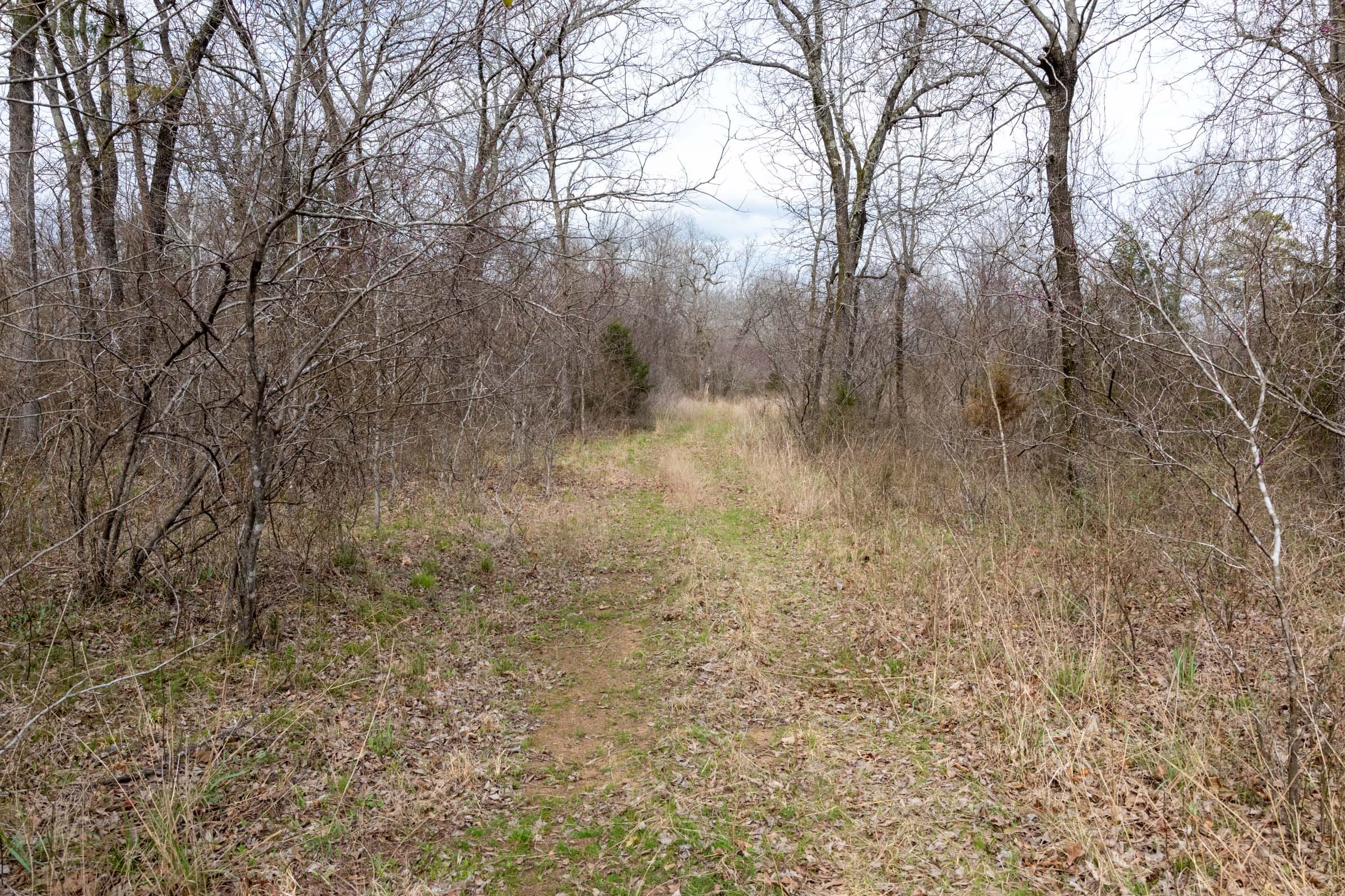 Stone Bridge Phase III Tract 159 photo 2