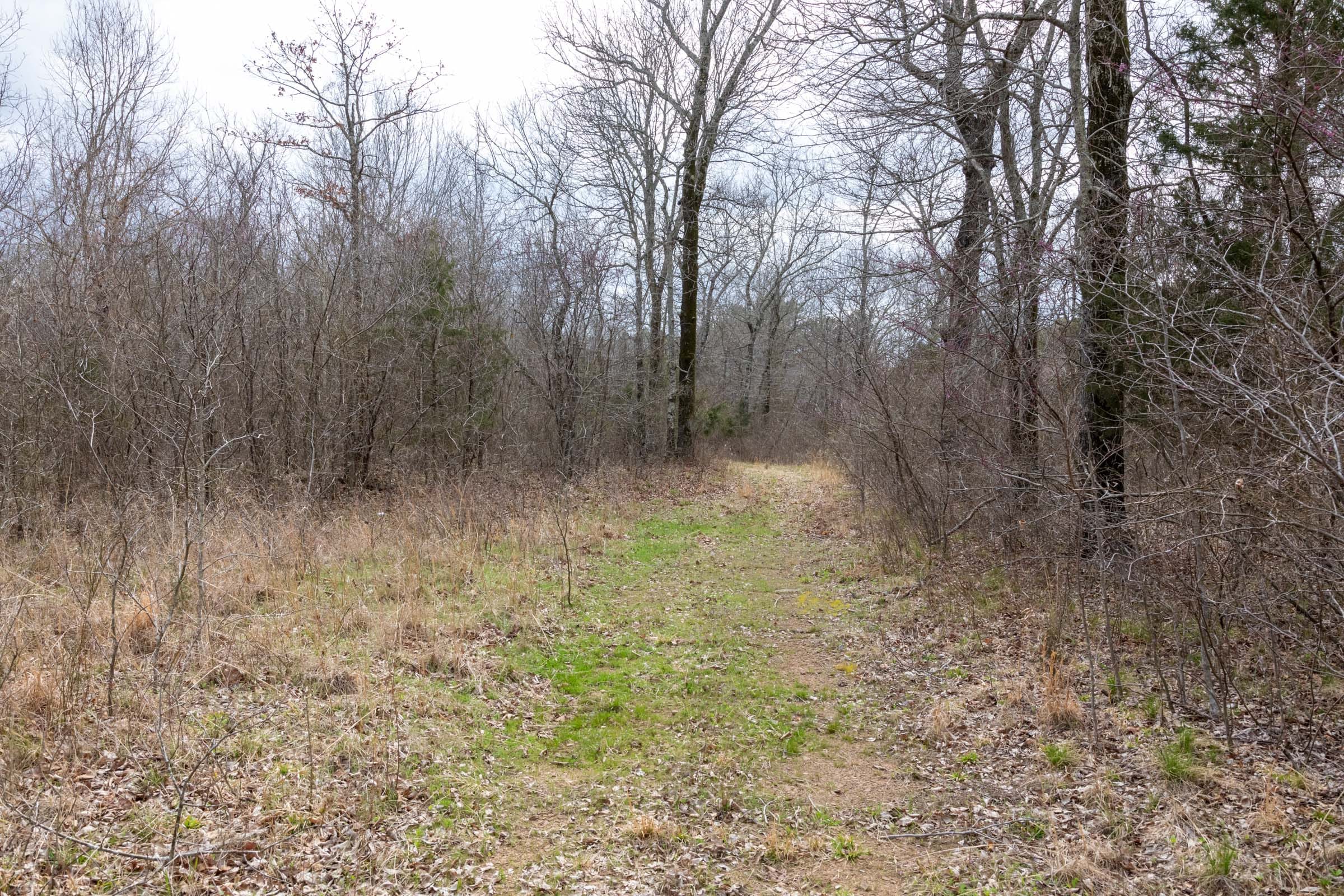 Stone Bridge Phase III Tract 159 photo 6