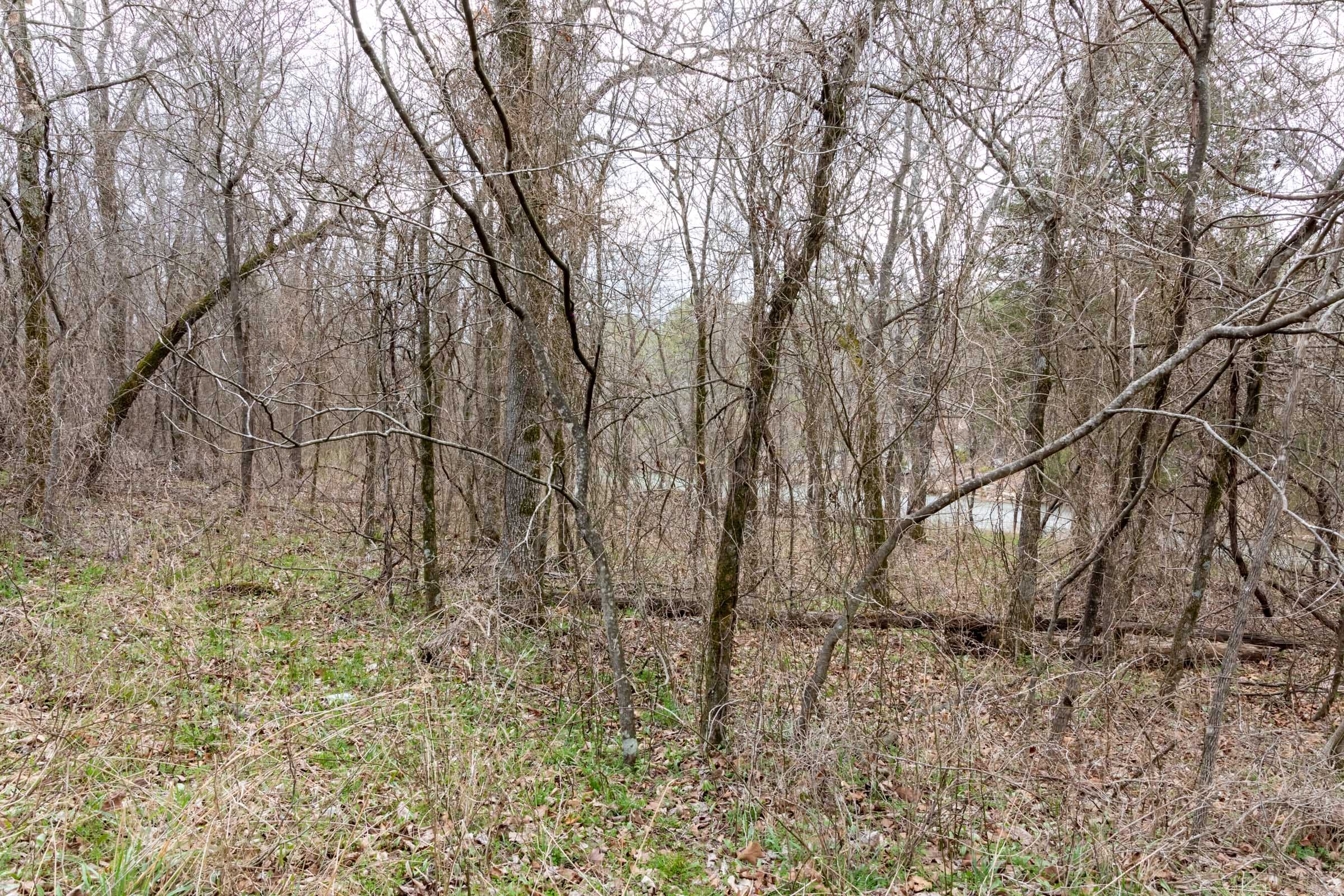 Stone Bridge Phase III Tract 159 photo 11