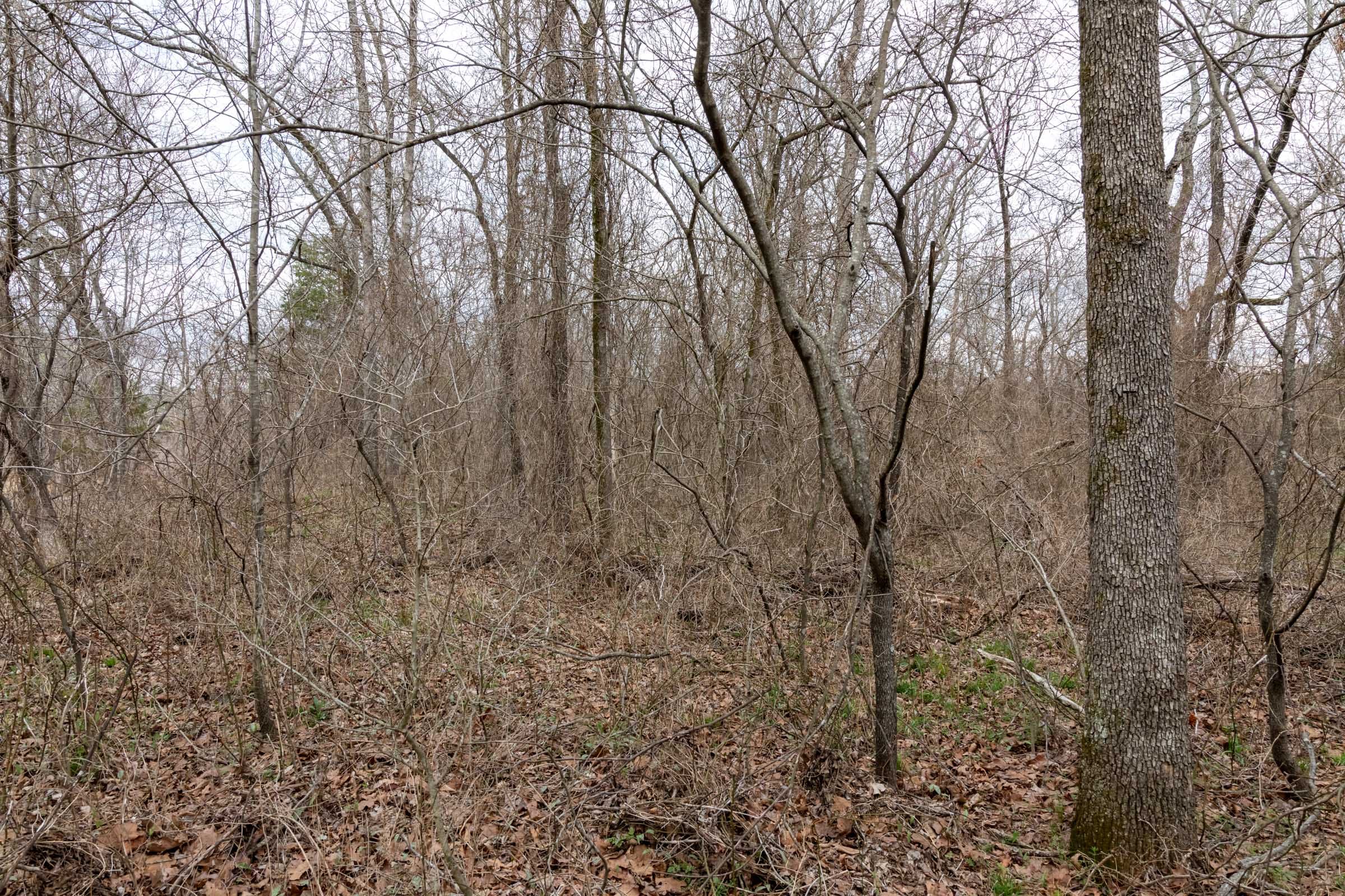 Stone Bridge Phase III Tract 159 photo 12
