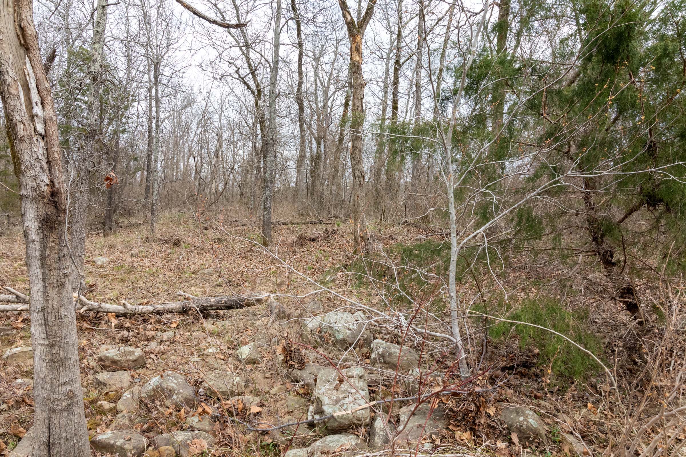 Stone Bridge Phase III Tract 159 photo 16