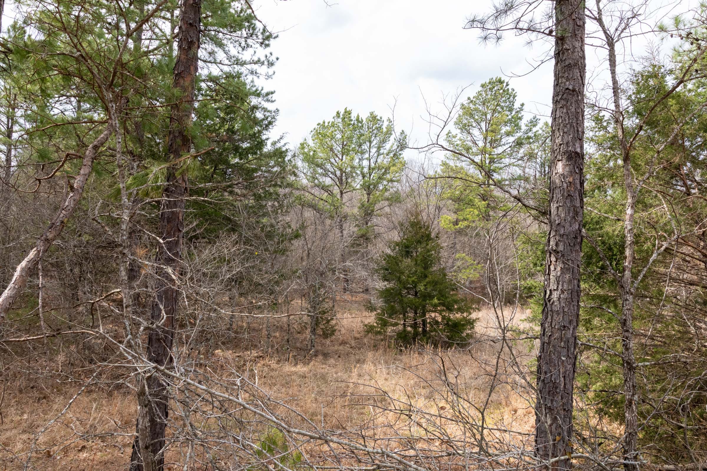 Stone Bridge Phase III Tract 159 photo 18