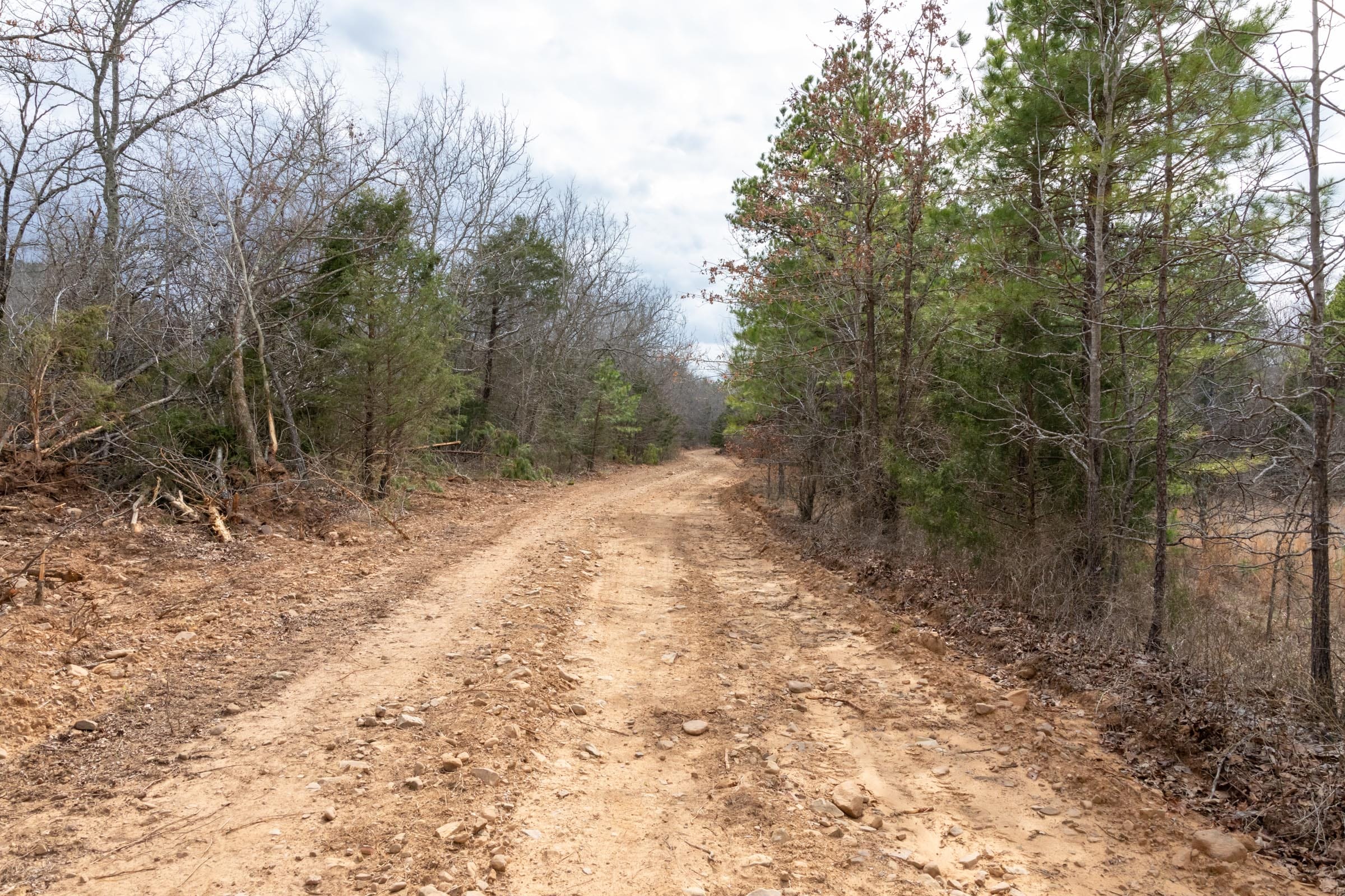 Stone Bridge Phase III Tract 159 photo 17