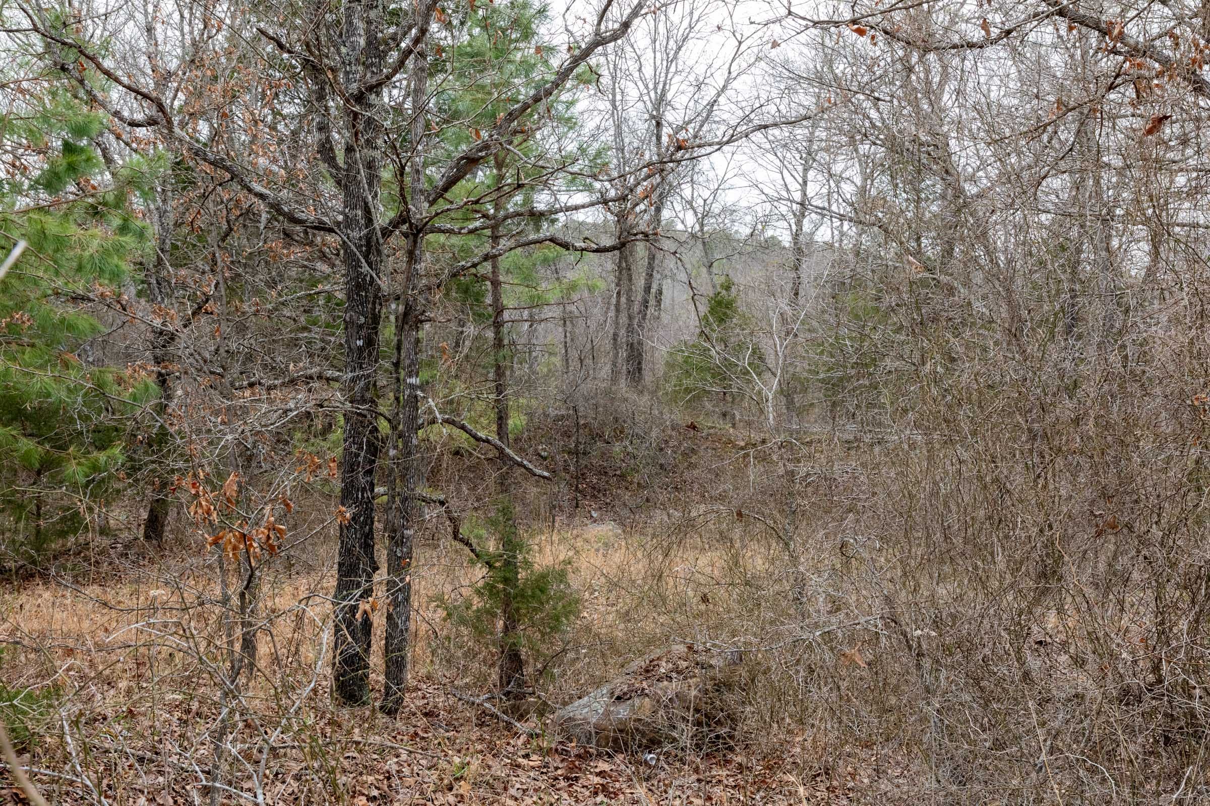 Stone Bridge Phase III Tract 159 photo 21