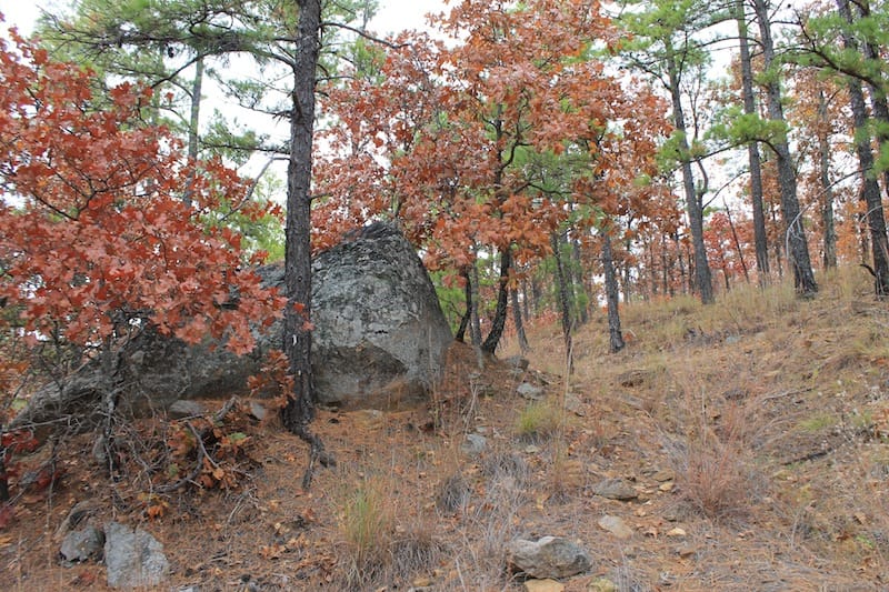 Indian Ridge – Phase I Tract 15 photo 3