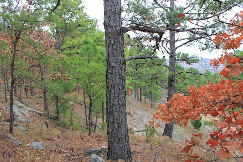 Indian Ridge – Phase I Tract 15 photo 4