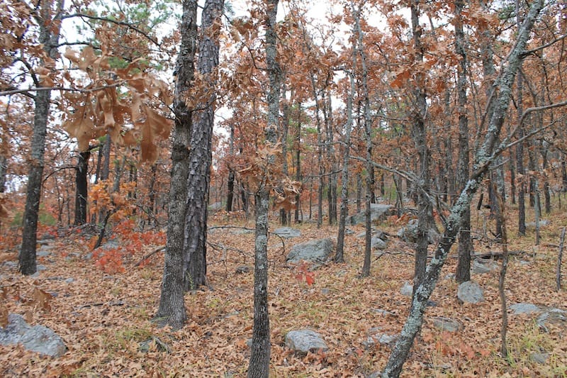 Indian Ridge – Phase I Tract 15 photo 5