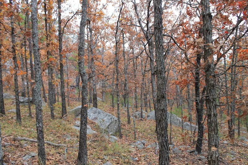 Indian Ridge – Phase I Tract 15 photo 6