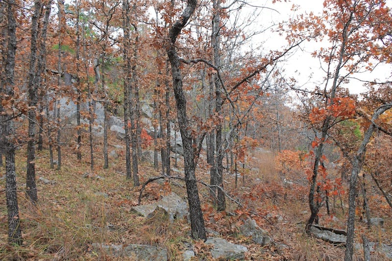 Indian Ridge – Phase I Tract 15 photo 7