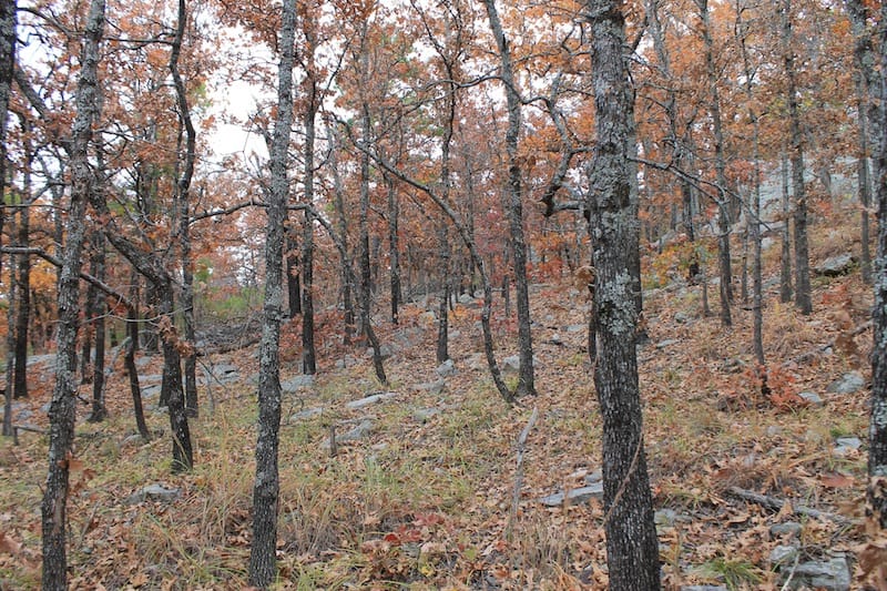 Indian Ridge – Phase I Tract 15 photo 8
