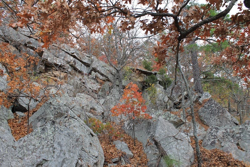 Indian Ridge – Phase I Tract 15 photo 9