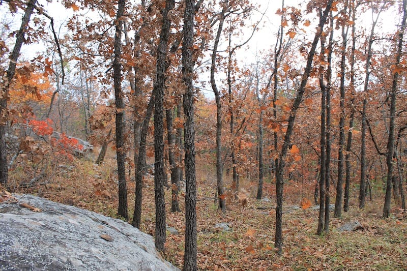 Indian Ridge – Phase I Tract 15 photo 13