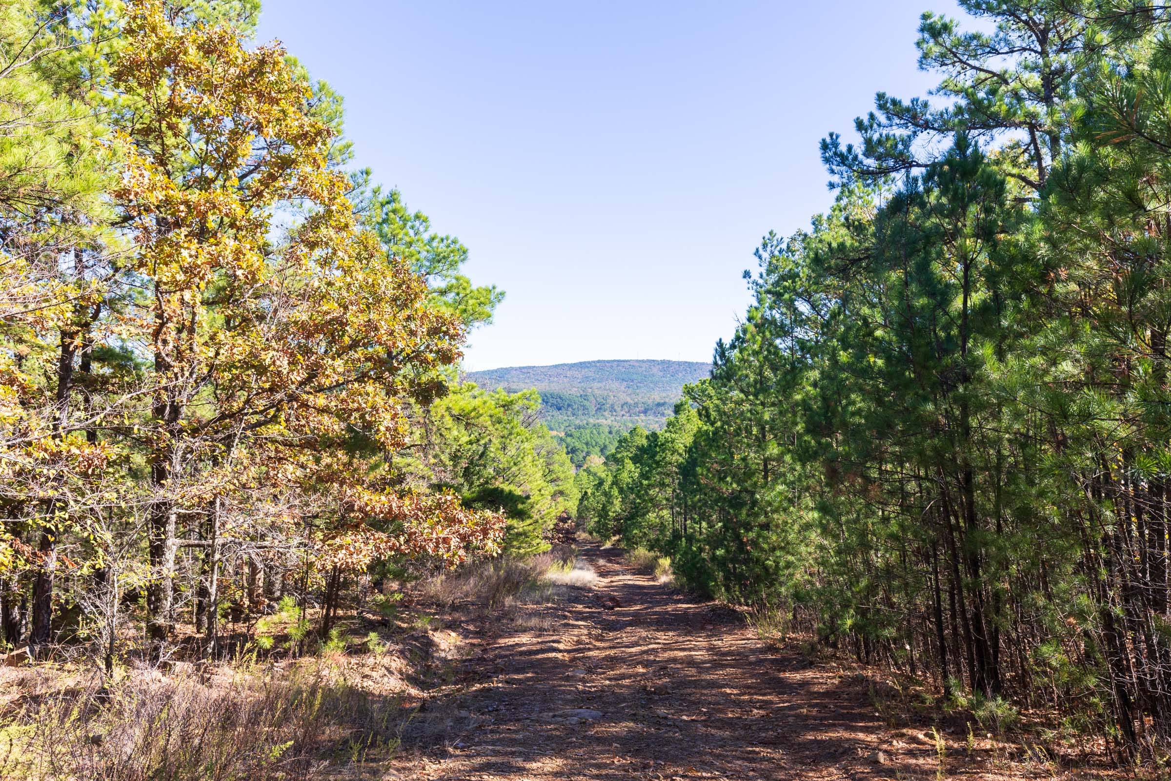 Stone Bridge Reserve Tract 22 photo 5